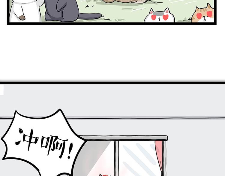 第284话 美喵竟是我自己45