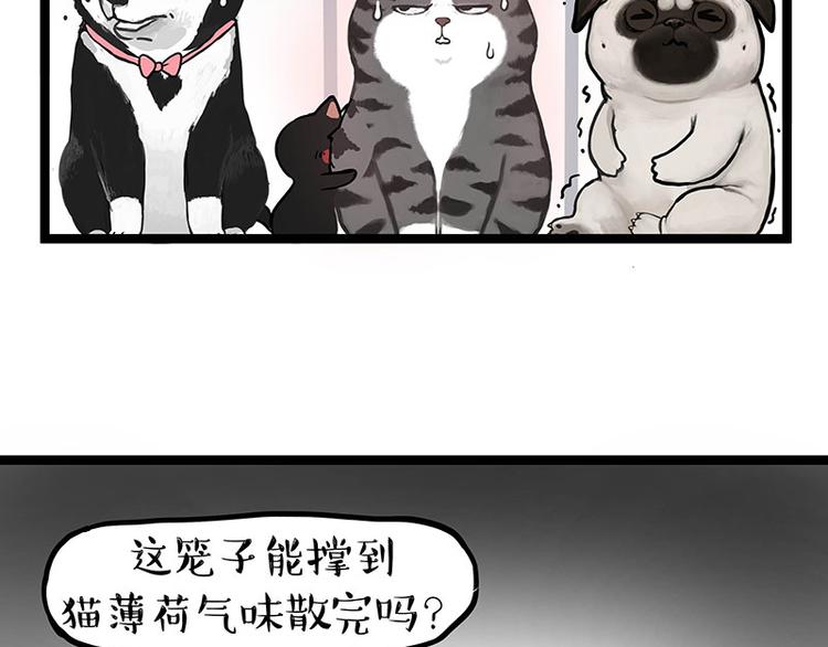第284话 美喵竟是我自己48