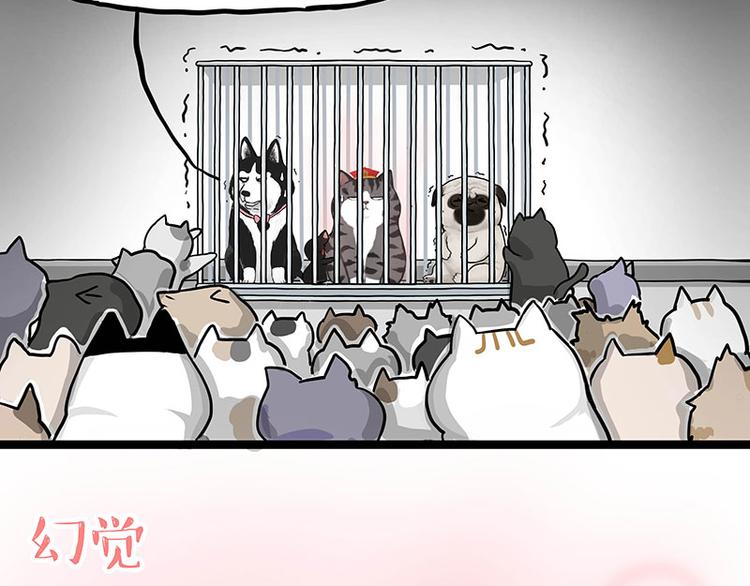 第284话 美喵竟是我自己49