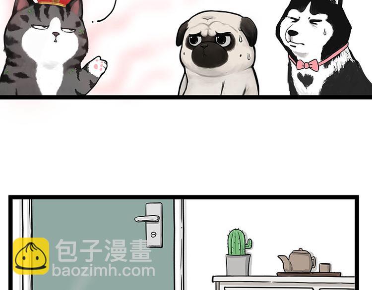 第284话 美喵竟是我自己5