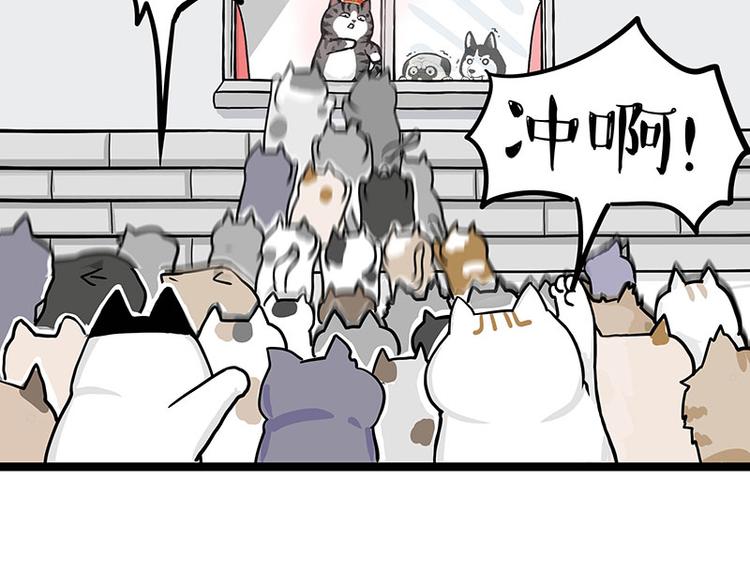 第284话 美喵竟是我自己50