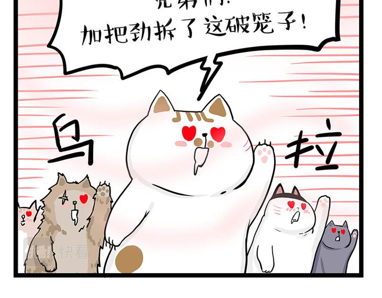 第284话 美喵竟是我自己56