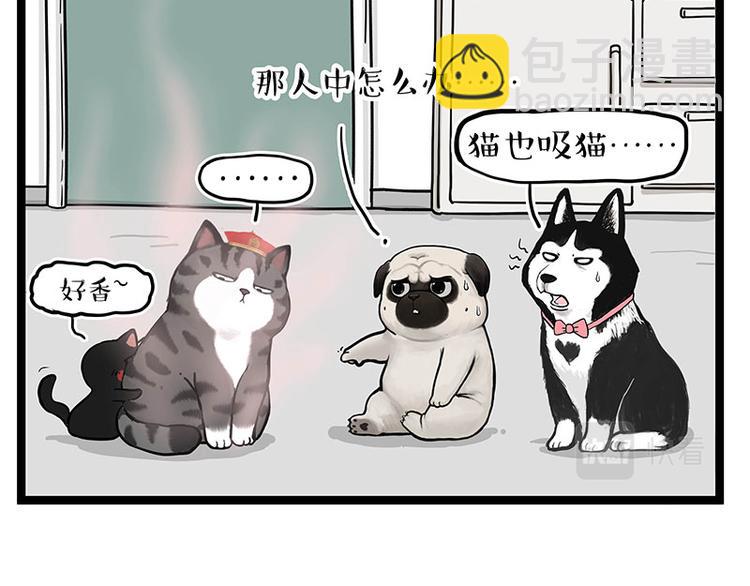 第284话 美喵竟是我自己6