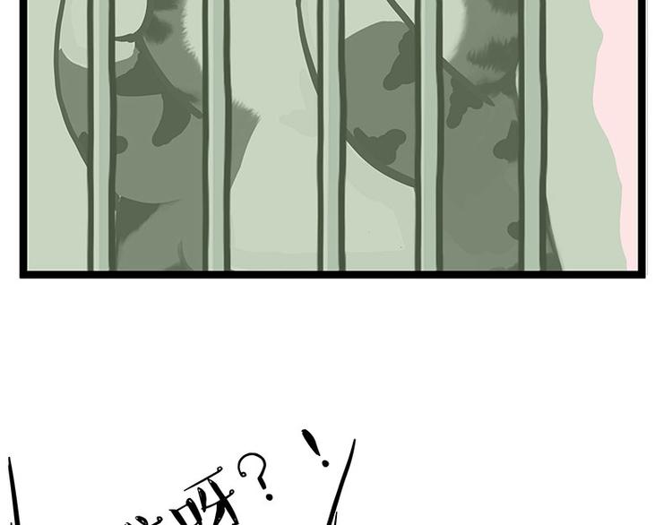 第284话 美喵竟是我自己68