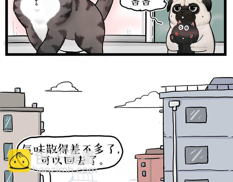第284话 美喵竟是我自己8