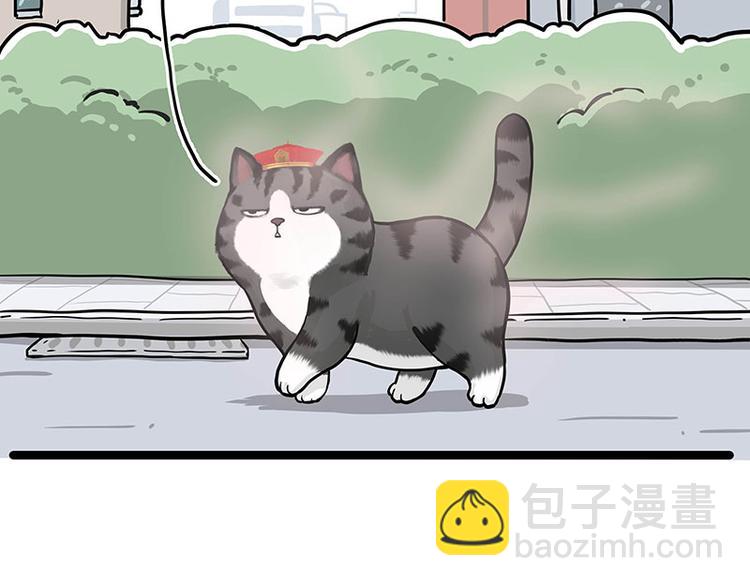 第284话 美喵竟是我自己9
