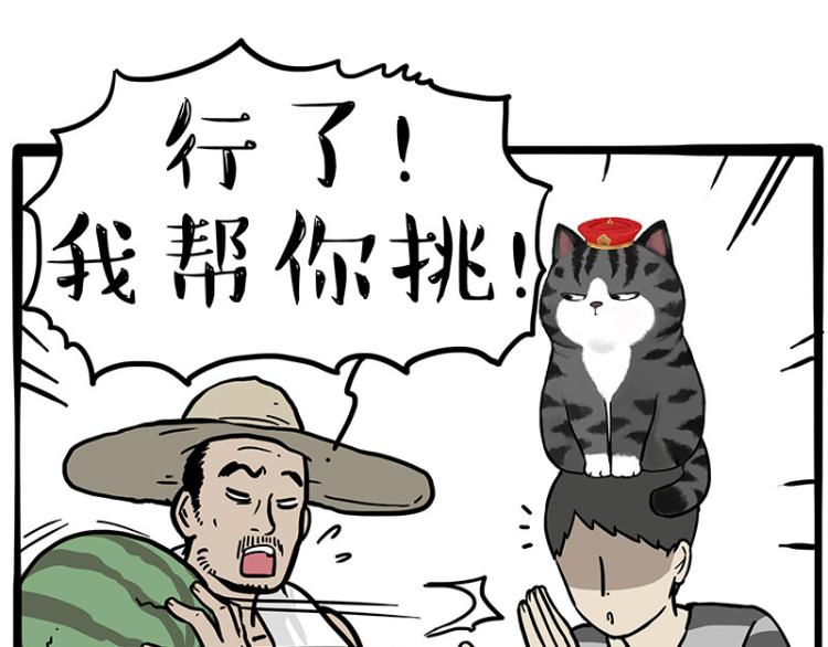 第285话 用四招4:0稳赢12