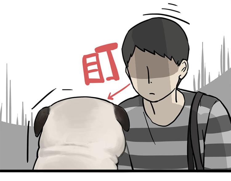 第285话 用四招4:0稳赢31