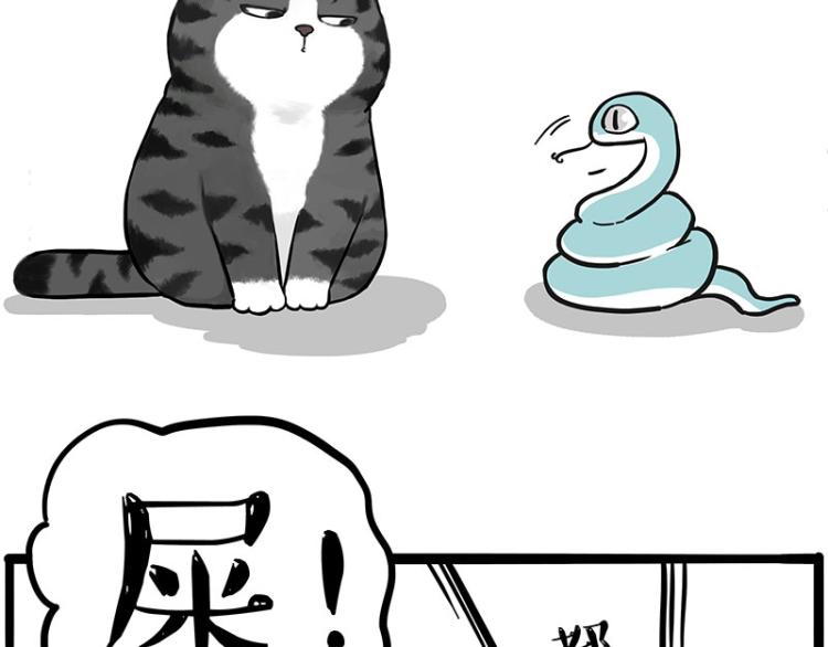 第286话 动物世界11
