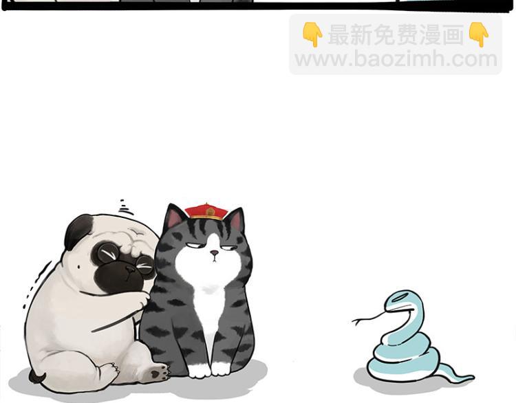 第286话 动物世界14