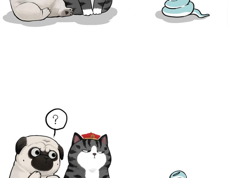 第286话 动物世界16