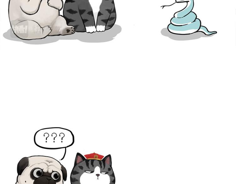 第286话 动物世界17