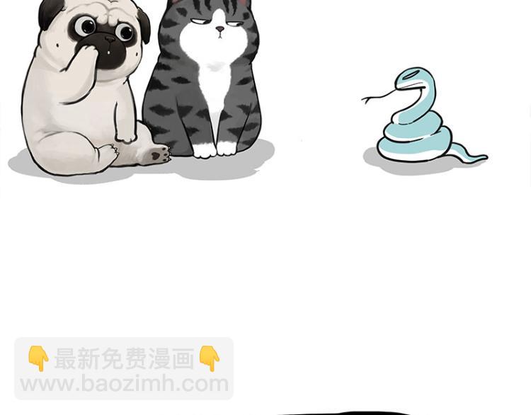 第286话 动物世界19