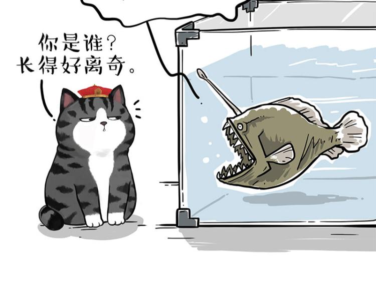 第286话 动物世界25