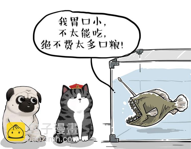 第286话 动物世界32