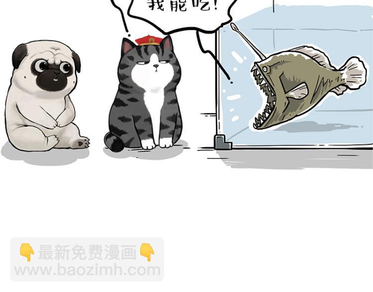 第286话 动物世界34