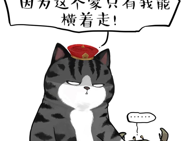 第286话 动物世界45