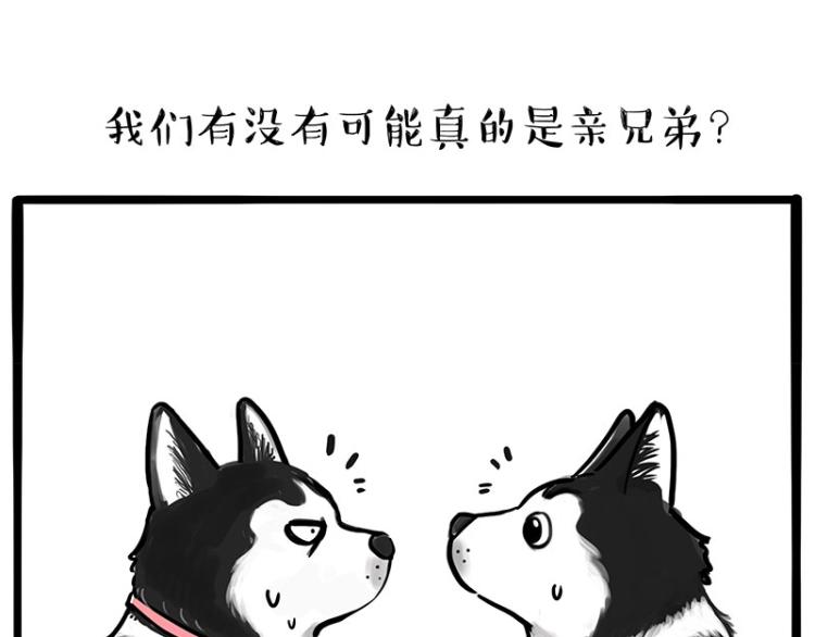 第287话 真假牛能？！10