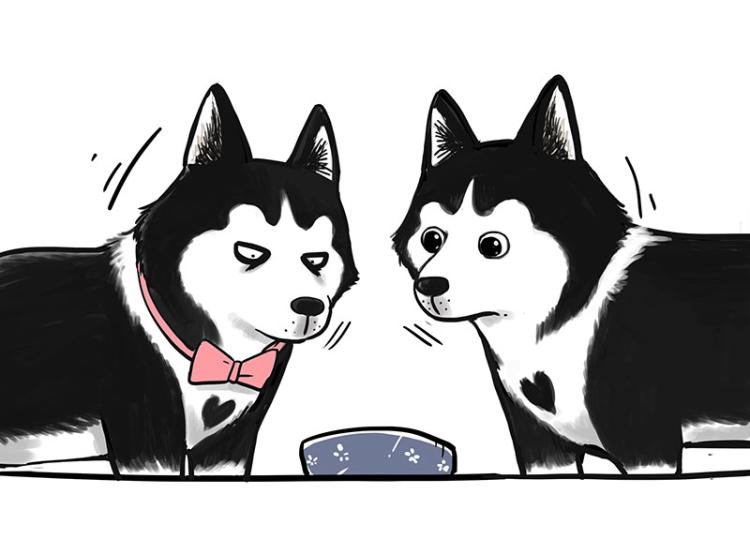 第287话 真假牛能？！15