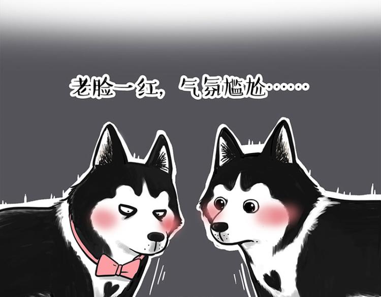 第287话 真假牛能？！18