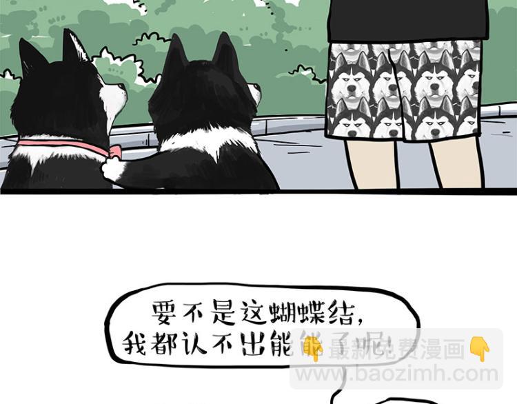 第287话 真假牛能？！49