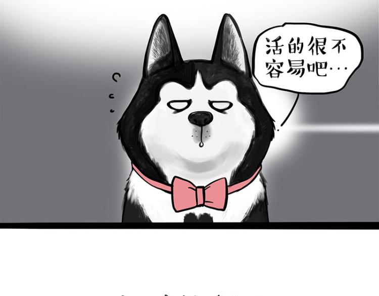 第287话 真假牛能？！5