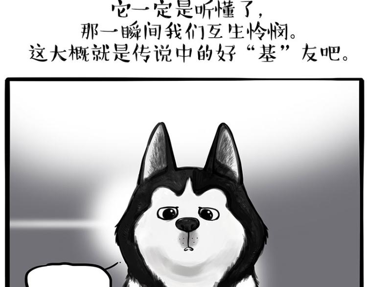 第287话 真假牛能？！6