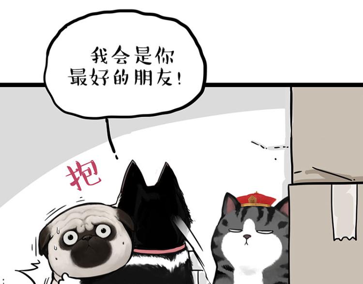 第288话 冒牌货，拿来吧你！12