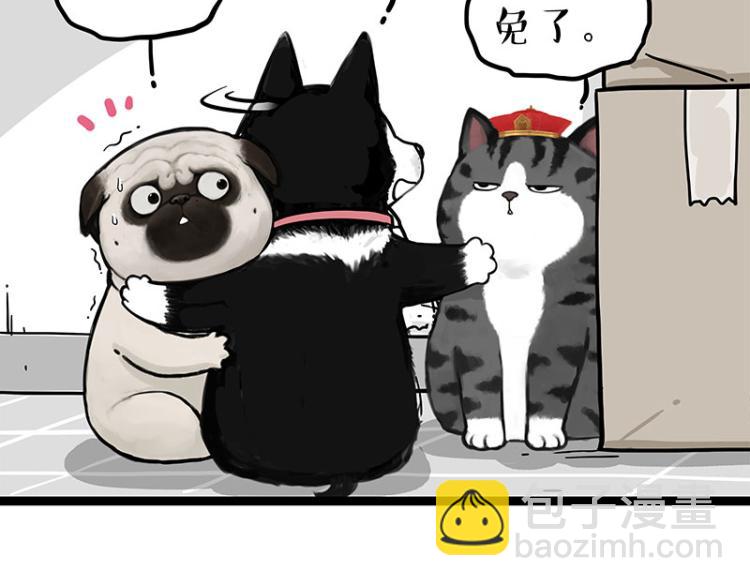 第288话 冒牌货，拿来吧你！14