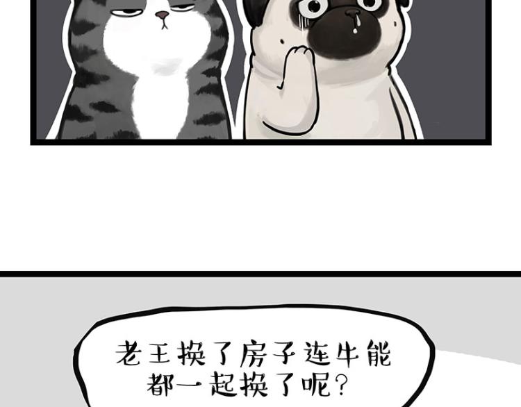 第288话 冒牌货，拿来吧你！17