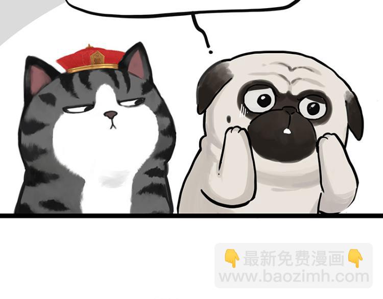 第288话 冒牌货，拿来吧你！18