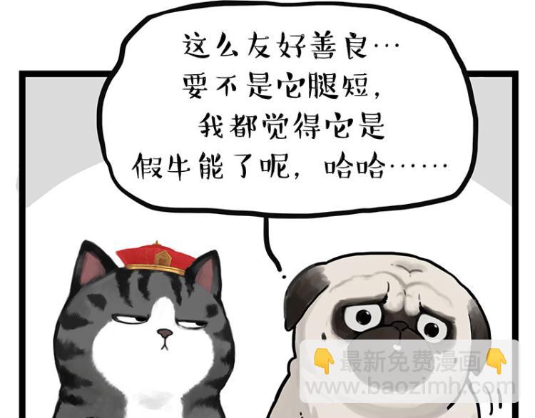 第288话 冒牌货，拿来吧你！19