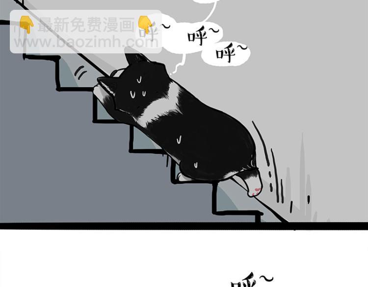 第288话 冒牌货，拿来吧你！29