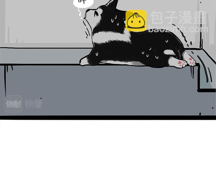 第288话 冒牌货，拿来吧你！31