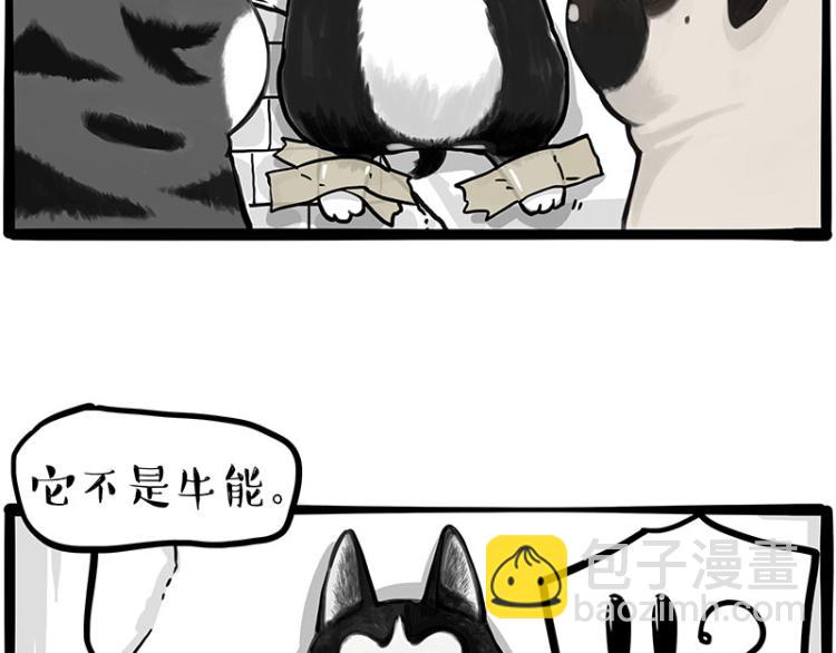 第288话 冒牌货，拿来吧你！38