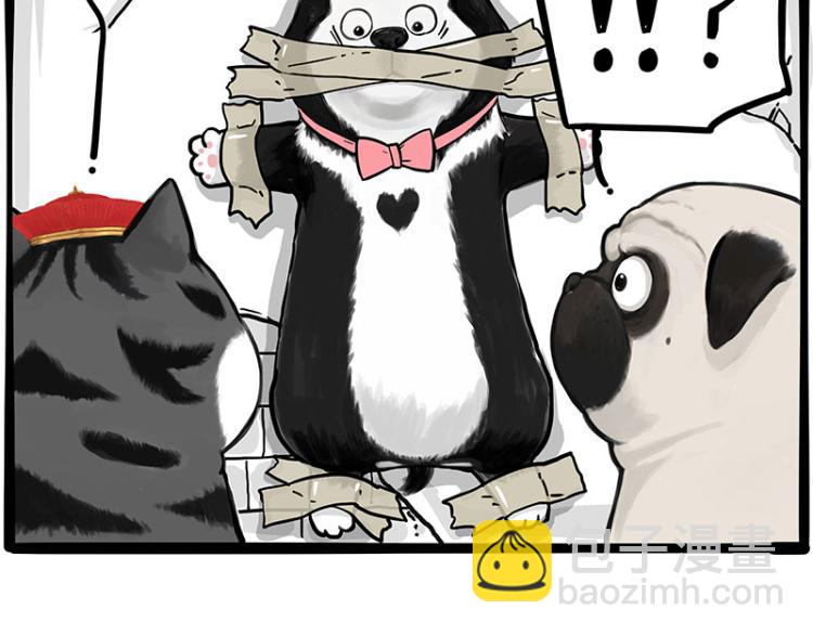 第288话 冒牌货，拿来吧你！39