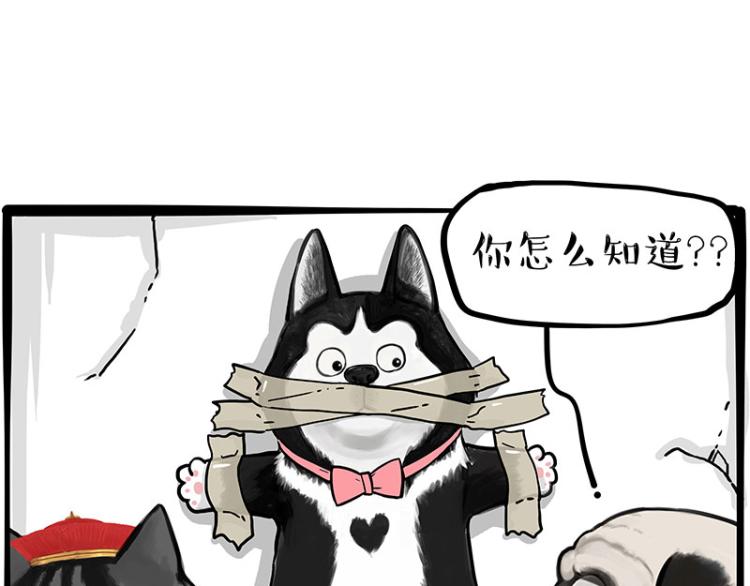 第288话 冒牌货，拿来吧你！40