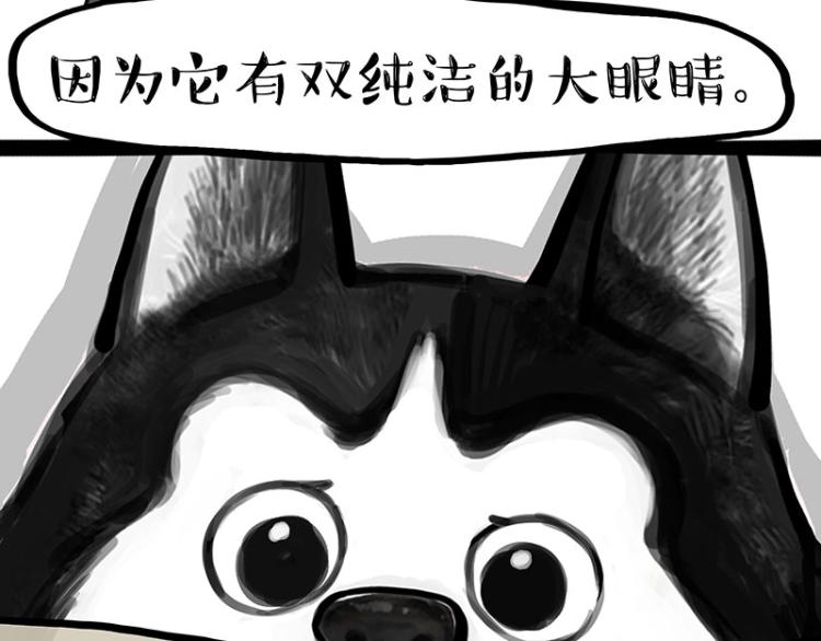 第288话 冒牌货，拿来吧你！42