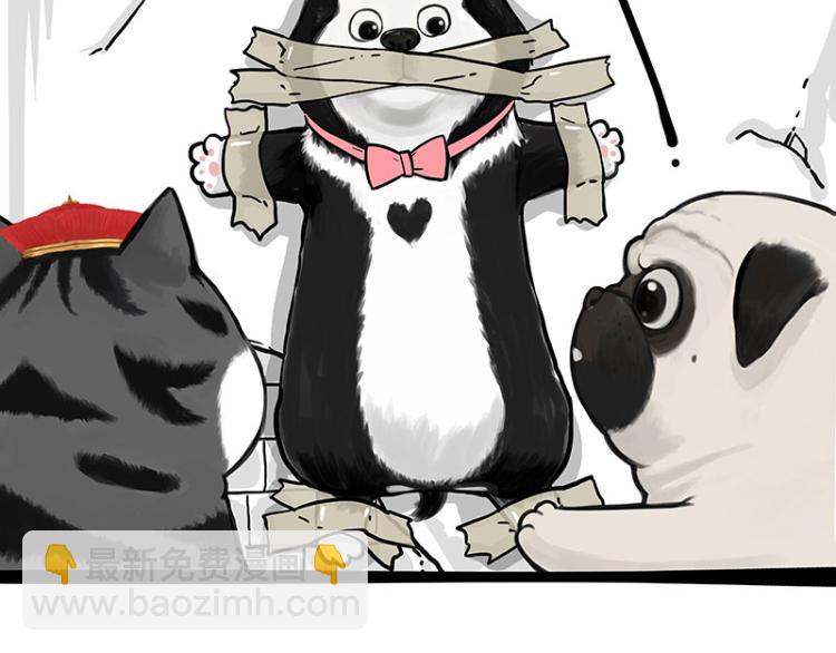 第288话 冒牌货，拿来吧你！45