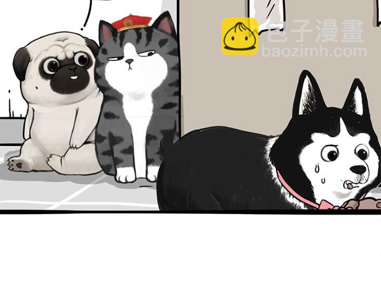 第288话 冒牌货，拿来吧你！5
