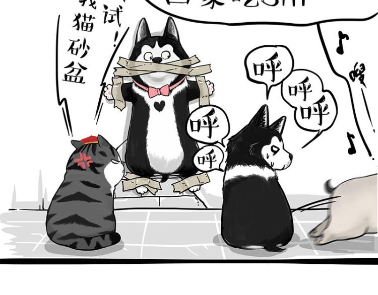 第288话 冒牌货，拿来吧你！61