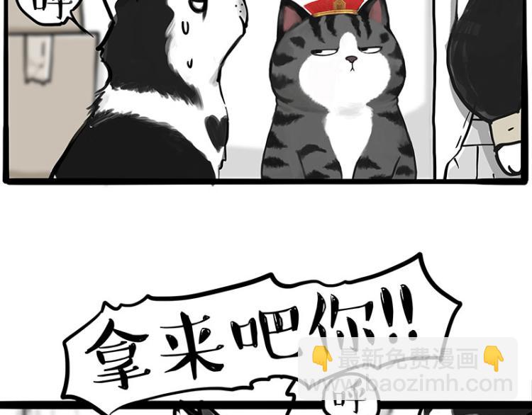第288话 冒牌货，拿来吧你！63