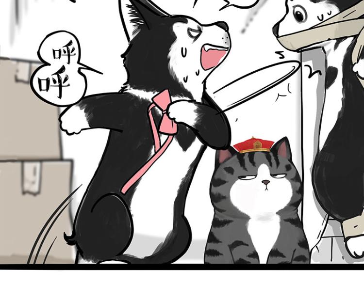 第288话 冒牌货，拿来吧你！64