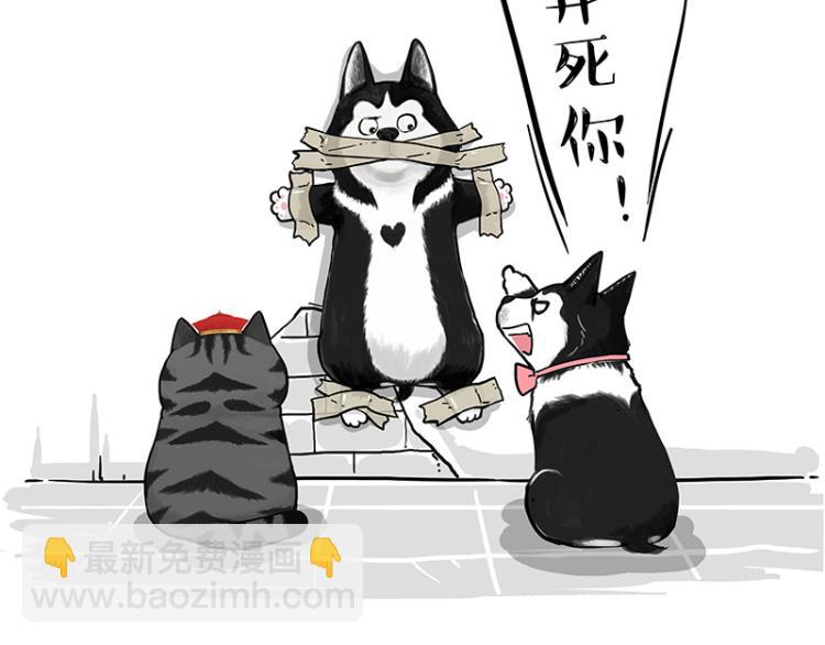 第288话 冒牌货，拿来吧你！67