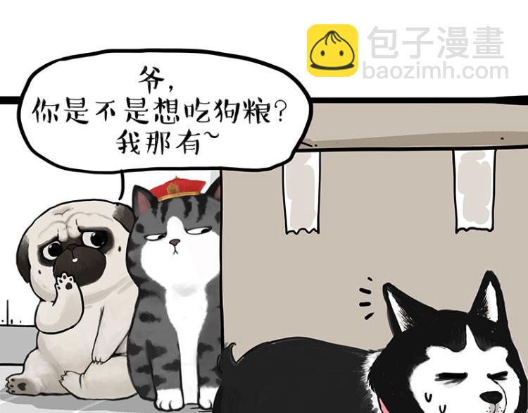 第288话 冒牌货，拿来吧你！7
