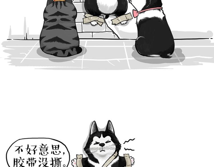 第288话 冒牌货，拿来吧你！70