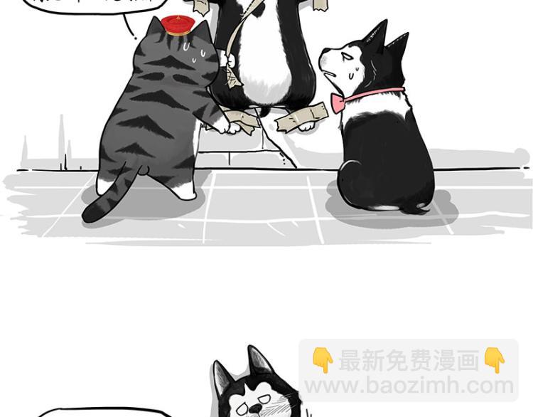 第288话 冒牌货，拿来吧你！71