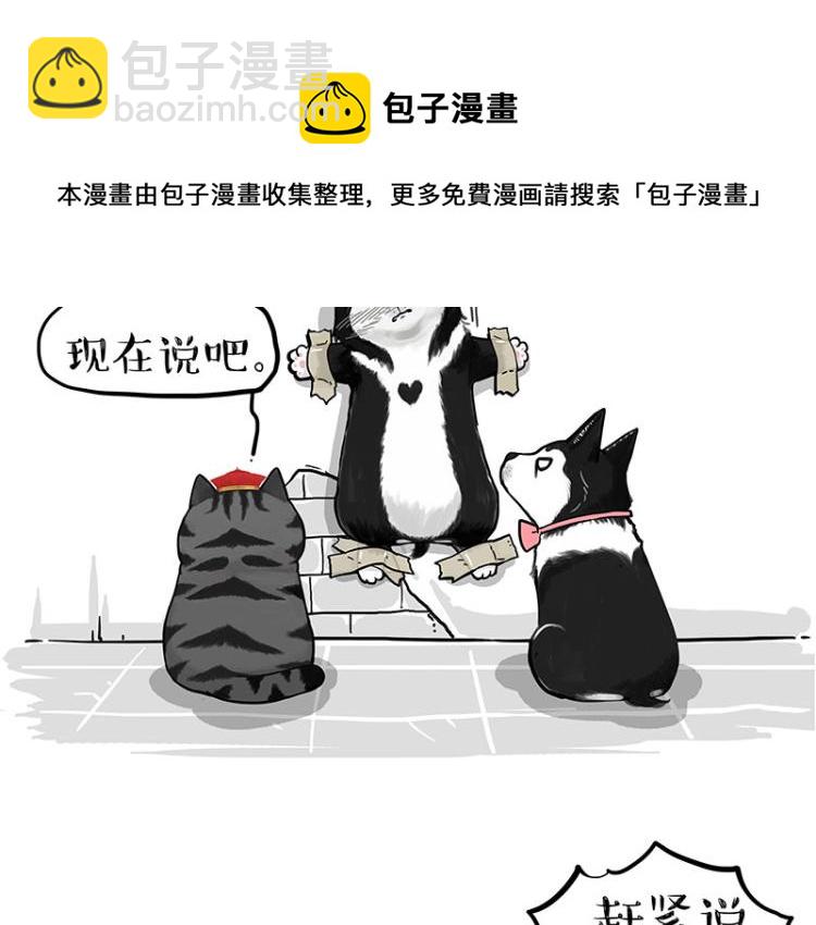 第288话 冒牌货，拿来吧你！72
