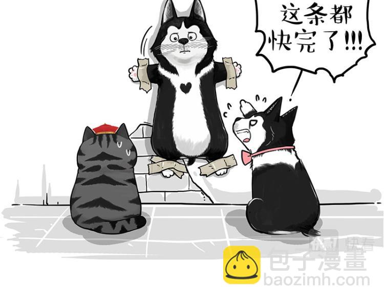 第288话 冒牌货，拿来吧你！73
