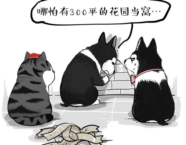 第289话 吹牛狗真牛14